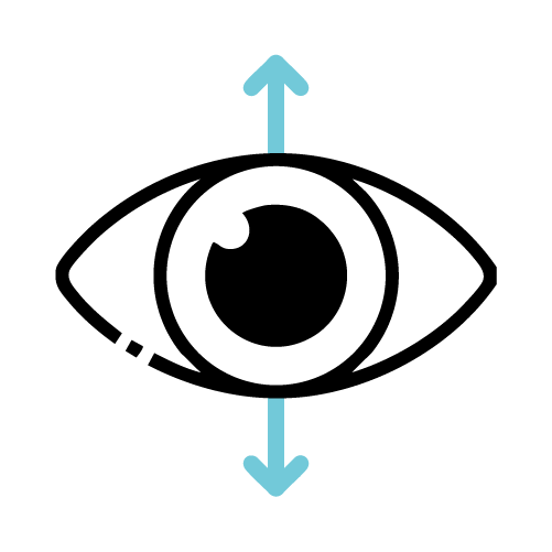 동공측정icon